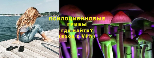 дмт Карпинск