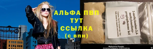 ПСИЛОЦИБИНОВЫЕ ГРИБЫ Карталы