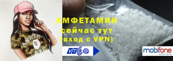 дмт Карпинск