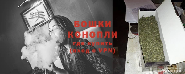 дмт Карпинск