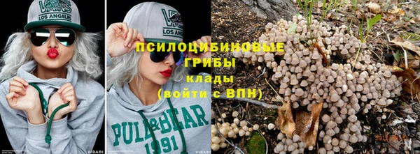 дмт Карпинск