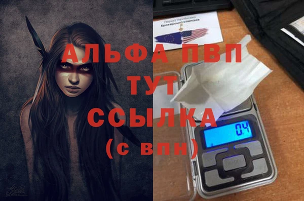 дмт Карпинск