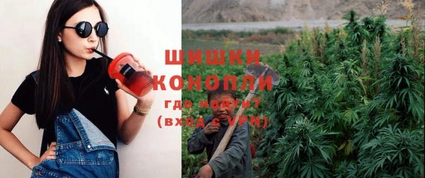 дмт Карпинск