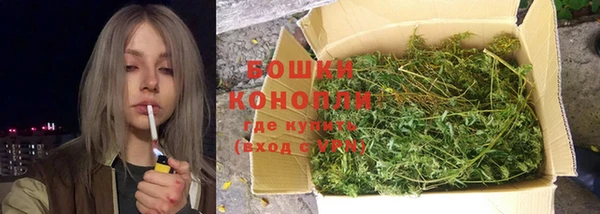 ПСИЛОЦИБИНОВЫЕ ГРИБЫ Карталы