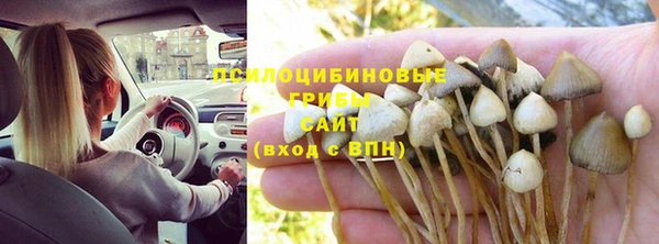 круглые Касимов